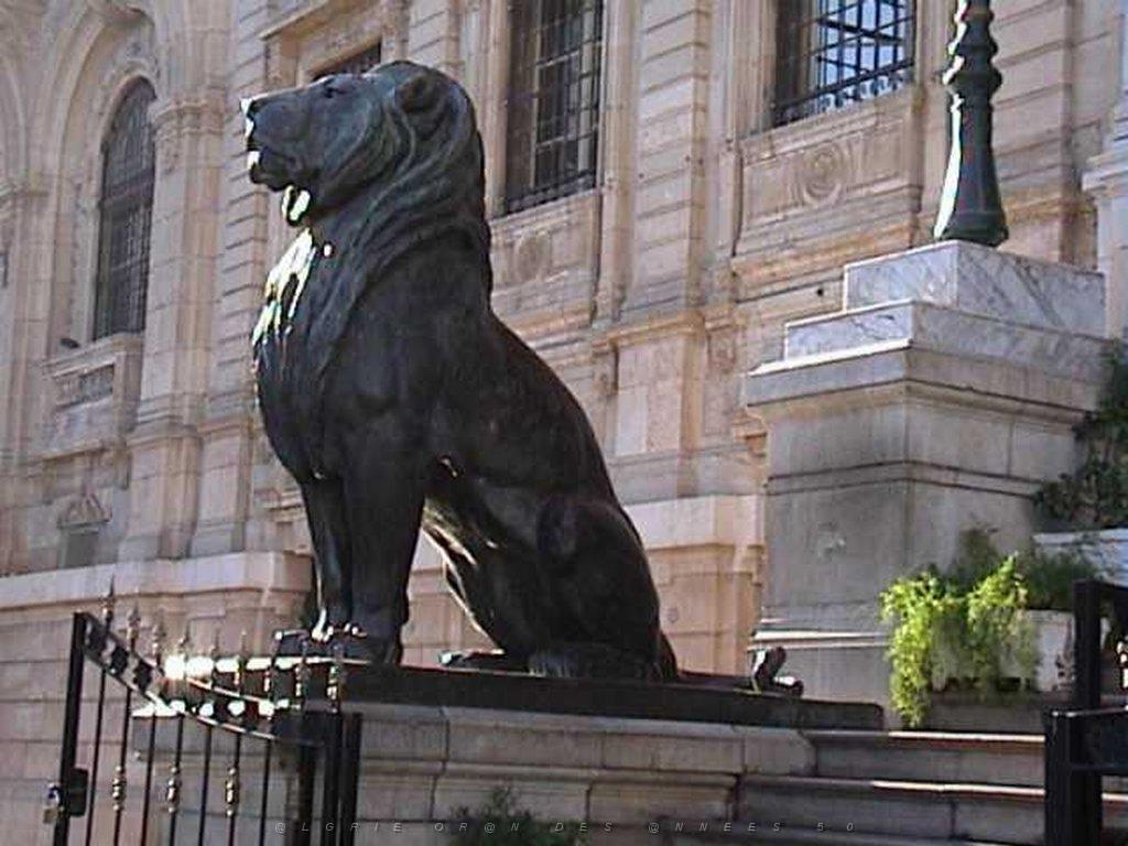 02 VILLE PLACE D ARMES ET LE LION.JPG